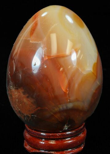 Colorful Carnelian Agate Egg #41186